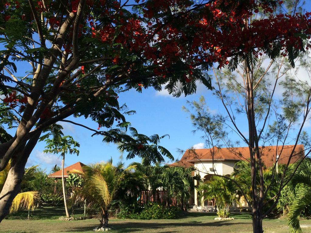 La Villa Emeraude 04 Etoiles Saint-Francois (Grande-Terre) Exterior foto